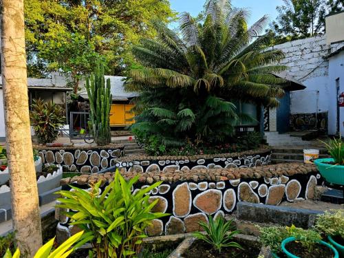 rusty rock beach resort and spa
