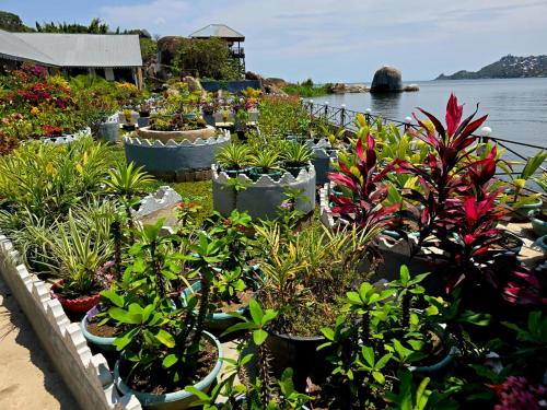 rusty rock beach resort and spa