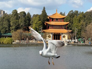 kunming hulanjian healing resort hotel