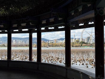 kunming