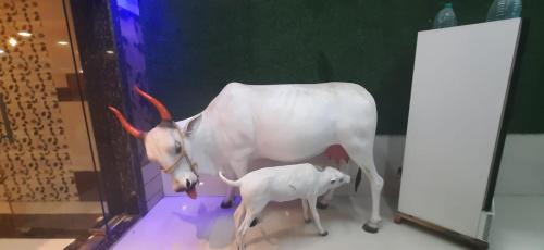 hotel radhakrishna
