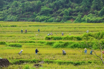 halora puluong retreat