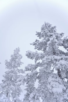 olof nature resort