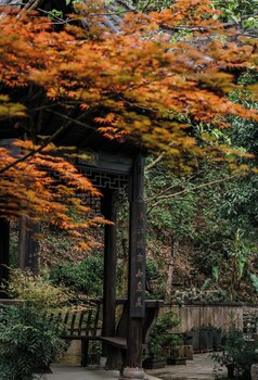 fanjingshan ansu homestay