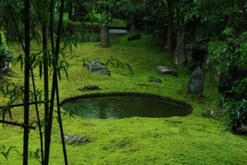 fanjingshan ansu homestay