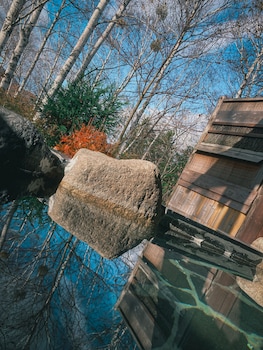 onsen lodge watari