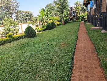maanet gardens kutus