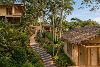 amber yao noi