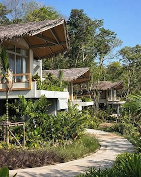 amber yao noi