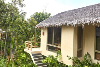 amber yao noi