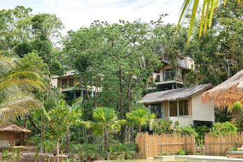 amber yao noi
