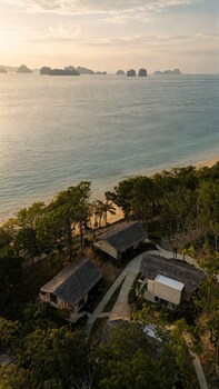 amber yao noi