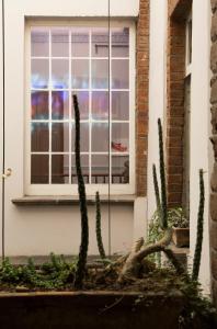 el patio 77