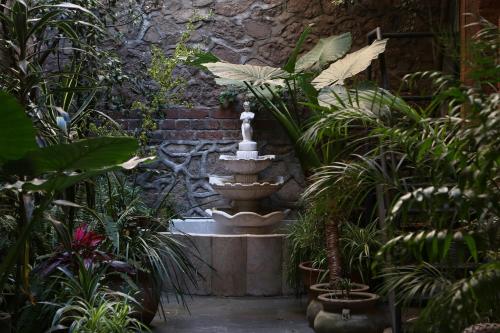 el patio 77