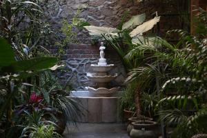 El Patio 77,Mexico City>>Cuauhtemoc,4 star