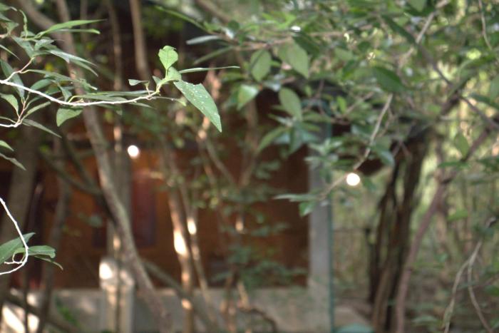 sigiriya wild cottages