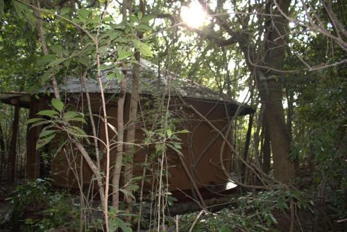 sigiriya wild cottages