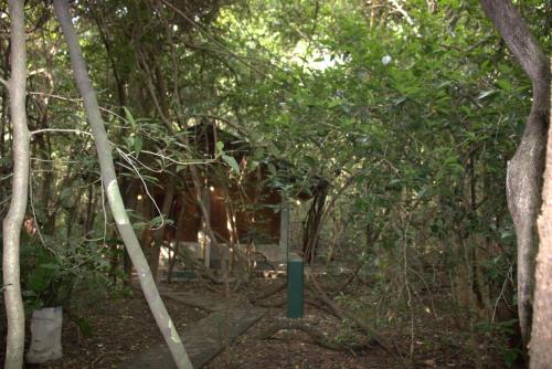 sigiriya wild cottages