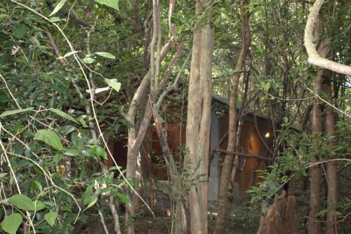 sigiriya wild cottages