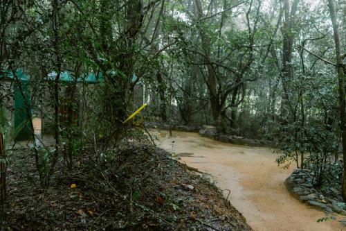 sigiriya wild cottages