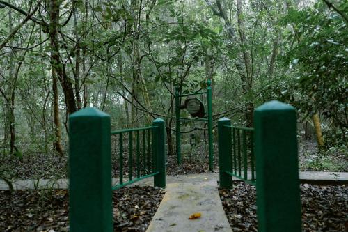 avudangawa