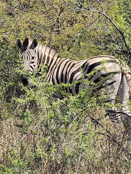 klipdrift sands game lodge