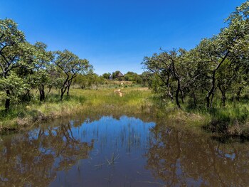klipdrift sands game lodge