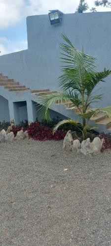 maara lodge chogoria