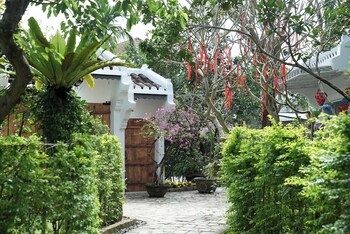 muca hoian co living and work retreat