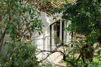 muca hoian co living and work retreat