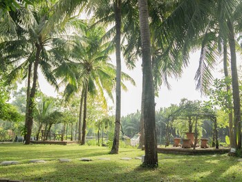 muca hoian co living and work retreat