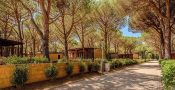 hotiday marina di cecina