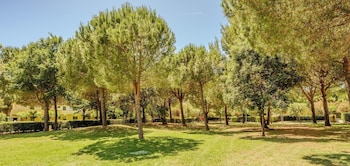 hotiday marina di cecina