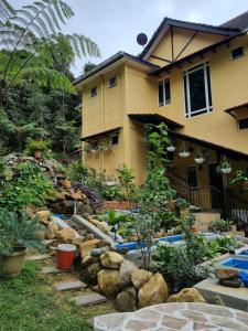 arundina cameron highlands