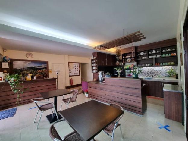 arundina cameron highlands