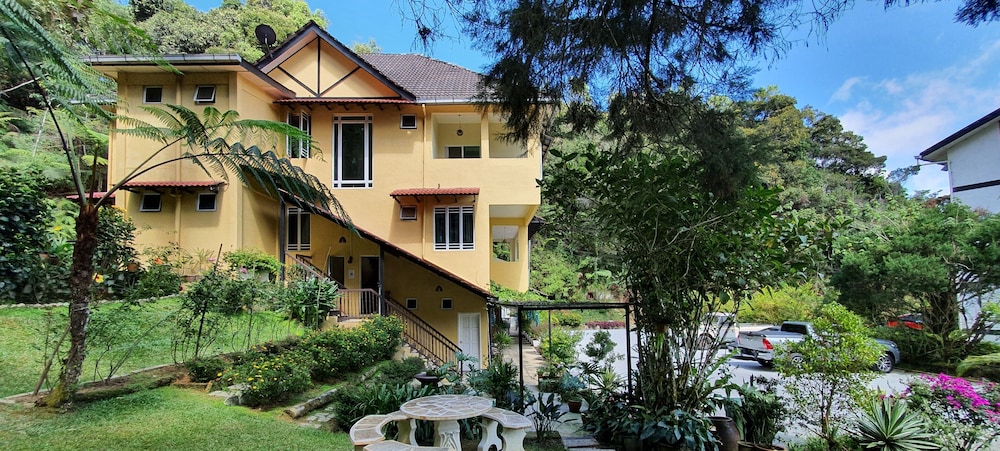 arundina cameron highlands