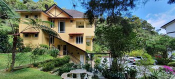 arundina cameron highlands