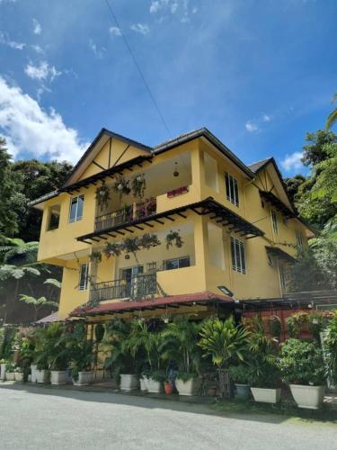 arundina cameron highlands