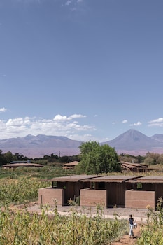 fauna hotel atacama