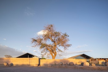 fauna hotel atacama