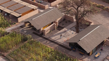 fauna hotel atacama