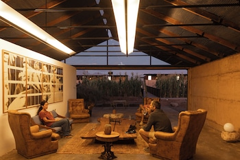 fauna hotel atacama