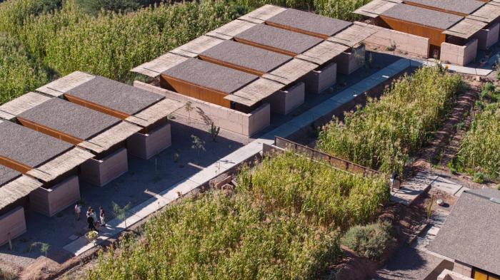 fauna hotel atacama