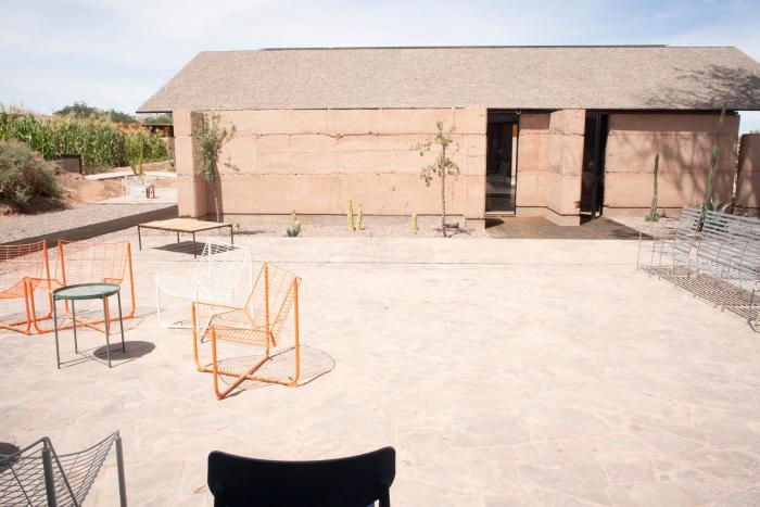 fauna hotel atacama