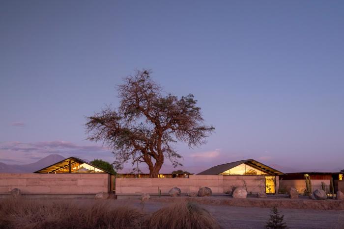 fauna hotel atacama