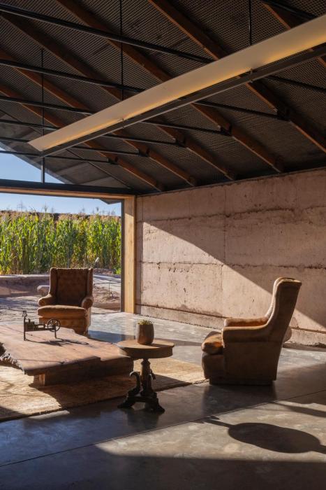 fauna hotel atacama