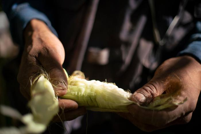 fauna hotel atacama