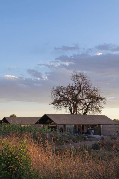 fauna hotel atacama