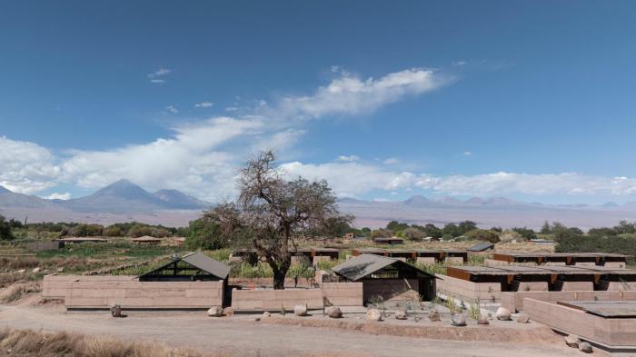 fauna hotel atacama
