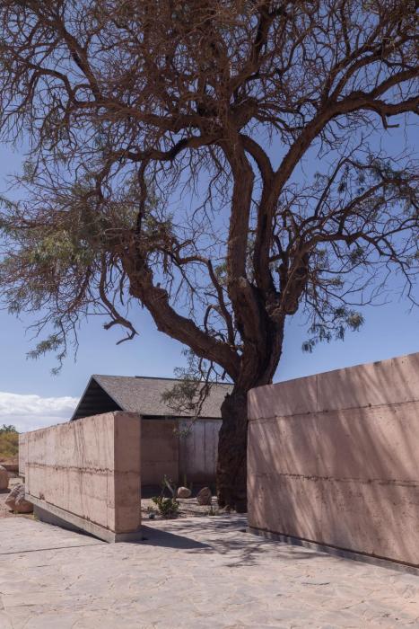fauna hotel atacama